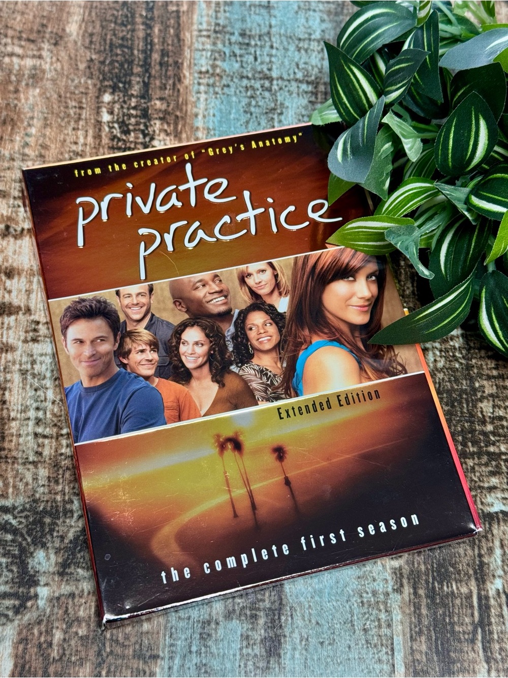 “Private Practice” Season 1 on DVD